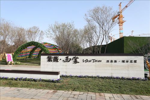 圖片5.jpg