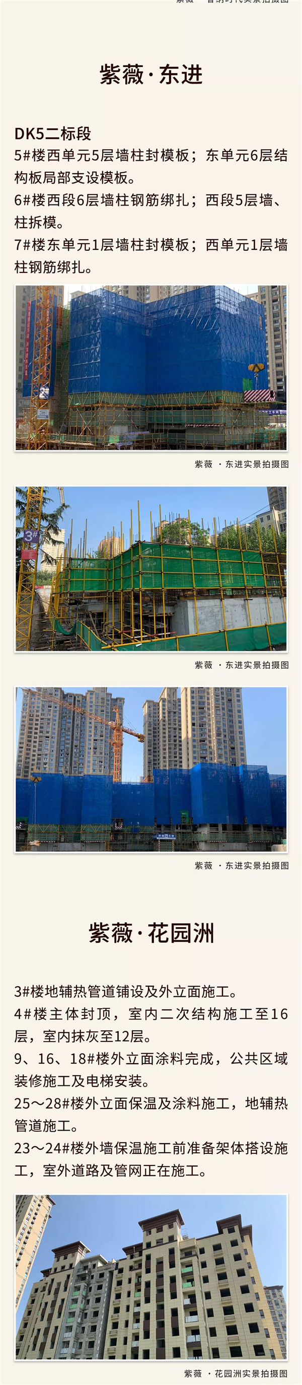 微信圖片_20200316100301.jpg